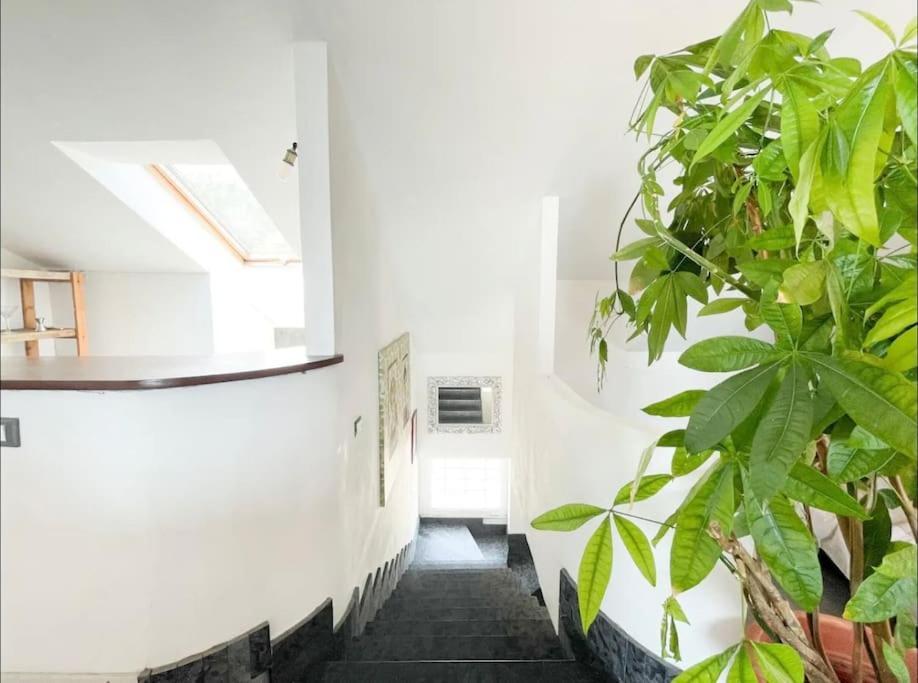 Apartment Mansarda Vista Mare A Zinola Savona